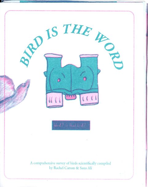Bird is the Word no. 1