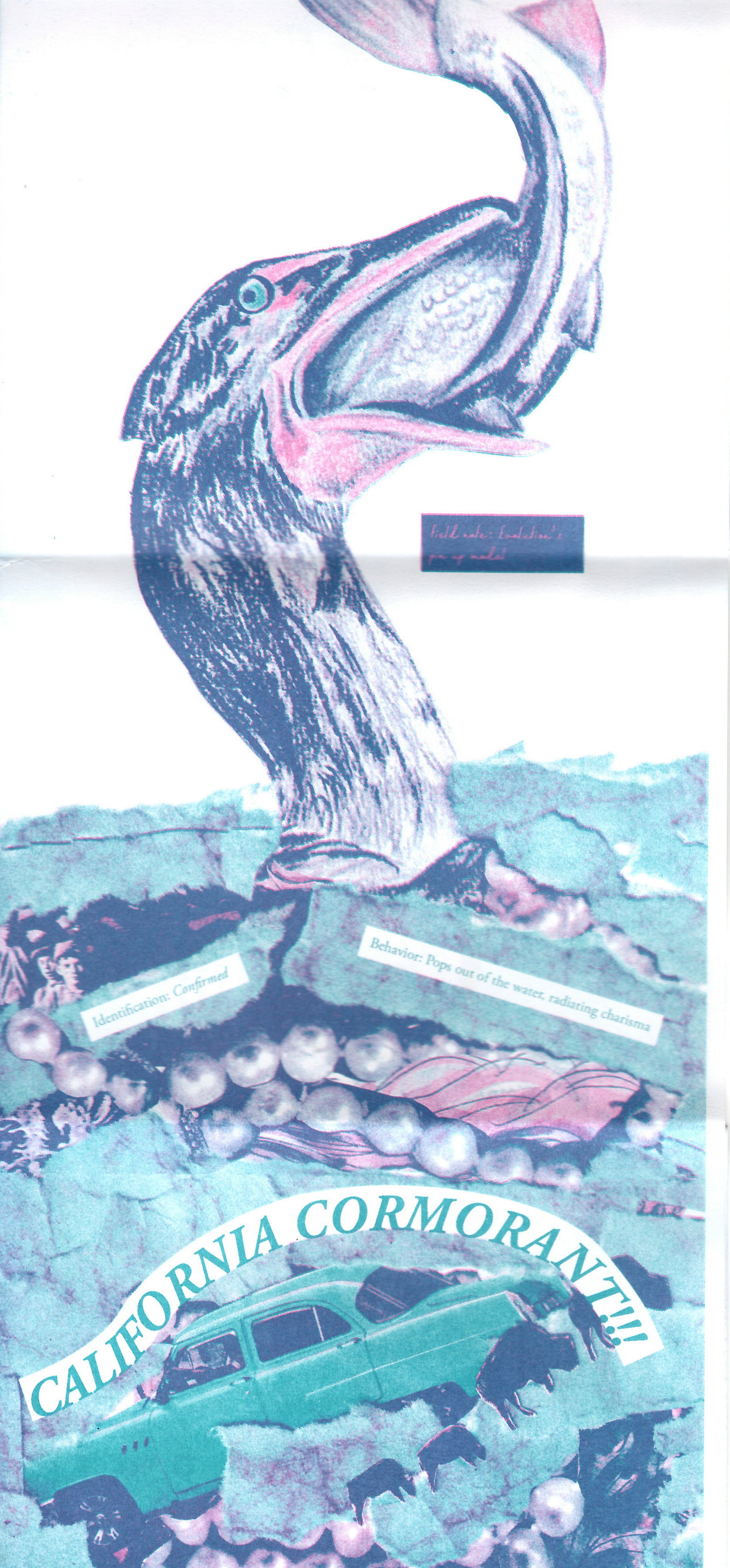 Bird is the Word fold-out poster