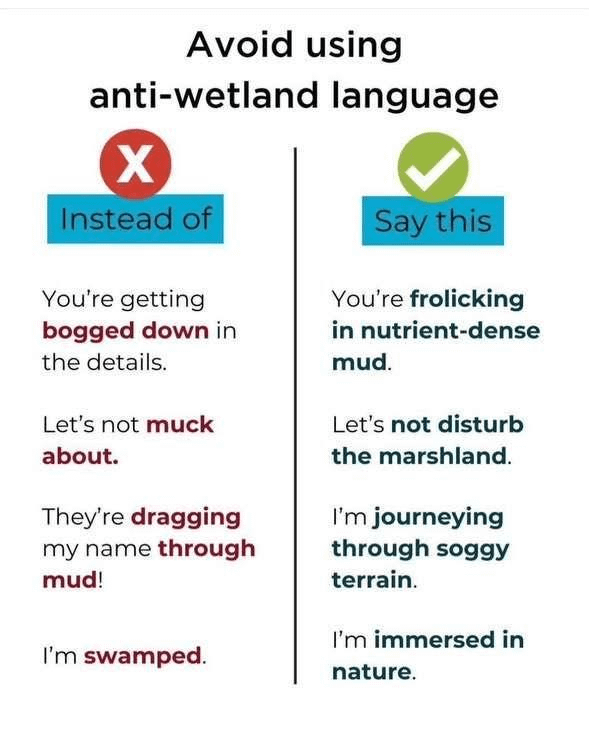 anti-wetland