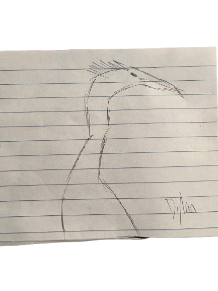 Cormorant by Dyl-dawg